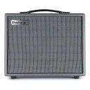 【送料込】Blackstar ブラックスター SILVERLINE Standard 20W コンボアンプ 【ポイント5倍】(2)