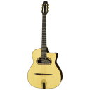 【送料込】【ハードケース付】ARIA アリア MM-100/D Natural(Gloss) マカフェリ スタイル アコースティックギター D-hole