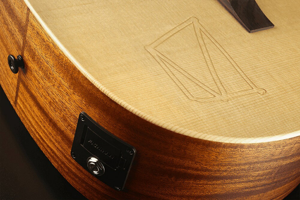 【ポイント5倍】【送料込】【ギグバッグ付】LAG Guitars VIAN-001 エレアコ Vianne...