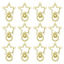 キーホルダー パーツ MUNCVY 20点セット 回転カン カワイイ 星 スター ナスカン ゴールド 金具 ンドメイド 手作り キーリング