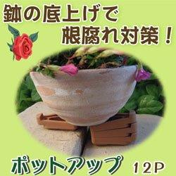 Rakuten - 富士商(Fujisho) ポットアップ 12個入 ブラウン