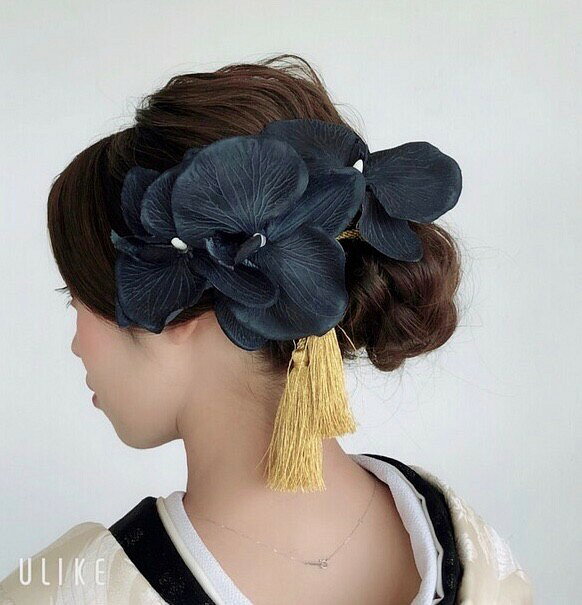 ĳȱꡡͼåȡɡĳʪµǳݡ̵إåɥɥ쥹֡ 𡡥꡼աץꥶ֥ɥե Ʃ...