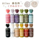 レジン着色 UVレジン 着色料 レジン着色剤セット レジンクラフト 液体タイプ UV-LEDレジン液 着色剤 くすみカラー 大人かわいい まざりやすい 12色セ...