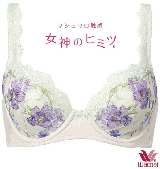 わ*い様 ワコール　女神のヒミツ　B65セット　新品 楽天市場】ワコール 女神のヒミツ b65の通販