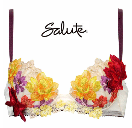楽天アイリス　ランジェリーショップサルートブラジャーきれいな谷間をつくるプッシュアップタイプ【Wacoal salute】BCDEFカップ【ワコール3／4カップ】