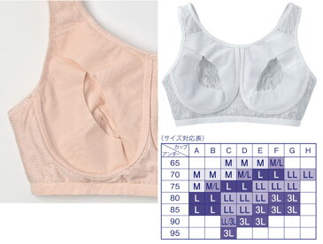 【2枚ご購入でネコポス便で送料無料】ワコールナイトアップブラWacoal Night Up Bra(LL 3Lサイズ)