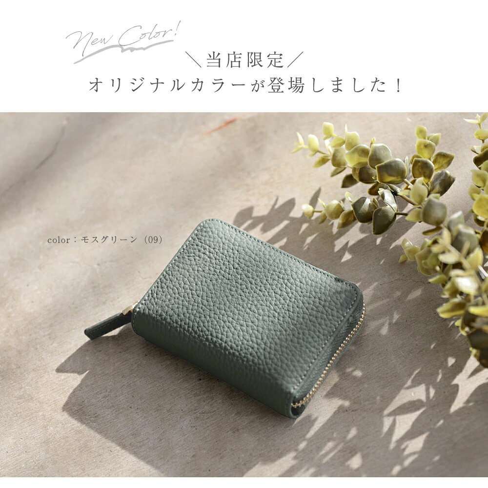 楽天1位 小銭入れ付カードケース レディース カード入れ メンズ じゃばら 小銭入れ...