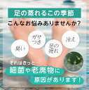aimableshop:10002306のサンプル画像2