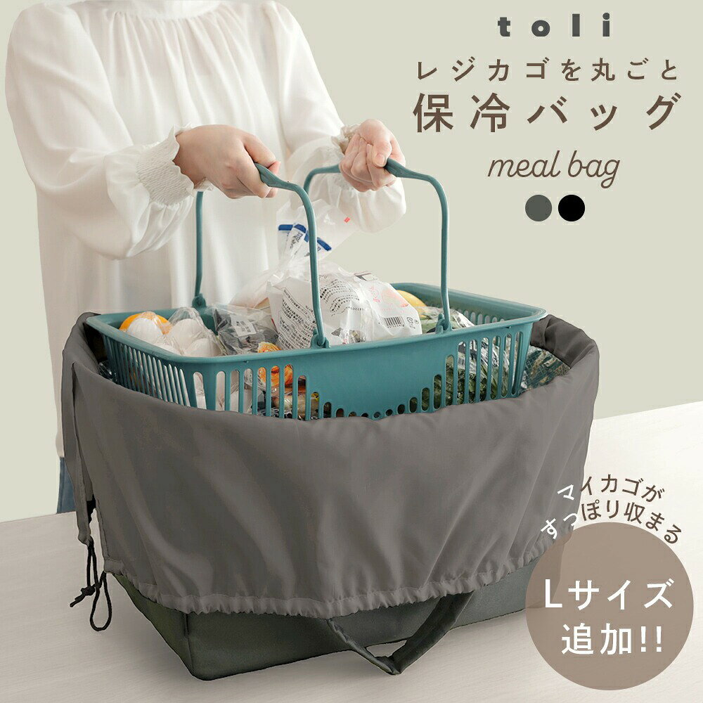 保冷レジかごバッグ エコバッグ レジカゴバッグ 大容量 お買い物 自立式 ブラック 母の日 プレゼント おしゃれ