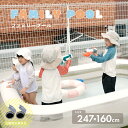 【新作50%OFF】27日1:59まで■ ファミリープール ゆったり 260cm×170cm PVC素材 夏 子供 水遊び ガレージ 庭 (T)【予約販売】