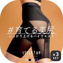【5/5限定!抽選で最大100%ポイントバック】補正下着 スタイルアップ ハイウエストガードル ●3枚入り | サンテラボ 骨盤ガードル 骨盤ベルト 産後ガード...
