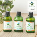 【最大18%OFFクーポン】インカオイル オーガニック ホホバオイル （ゴールド・ライト・デオライズド） 120ml INCA OIL キャリアオイル | インカ ホホバ オイル オーガニックホホバオイル キャリアオイル ヘアケア ヘアオイル