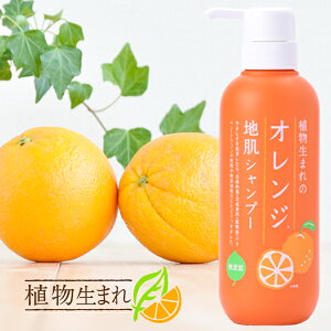 【クーポン利用で10％OFF】石澤研究所 植物生まれのオレンジ地肌シャンプー ポンプタイプ 400ml スカルプケア ノンシリコン ノンパラベン シャンプー ヘアシャンプー ノンシリコンシャンプー ヘアケア 頭皮ケア オレンジシャンプー | 地肌