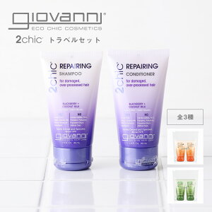 【最大15%OFFクーポン】ジョヴァンニ (giovanni) ジョバンニ 2in1 トラベルセット 44ml │ シャンプー コンディショナー セット ダメージ モイスト ボリューム ダメージヘア お試しサイズ ミニサイズ トラベルサイズ カラーヘア 乾燥 2in1