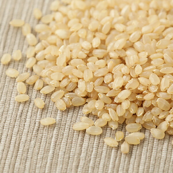 マゴメ 国内産 発芽玄米 (有機栽培米使用) 1kg | 有機米 発芽玄米 玄米 コシヒカリ 有機JAS 有機 オーガニック ごはん ご飯 米 お米 食物繊維 ダイエット aimere-10021059 サンテラボ サンプル画像3