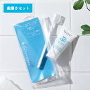 【11/5限定!抽選で最大100%ポイントバック】だいじょうぶなもの ハミガキセット ホワイトニング ホワイトニングトゥースペーストシルクパウダー 20g 青 ...
