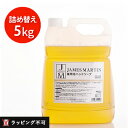 【最大15%OFFクーポン】ジェームズマーティン 薬用泡ハンドソープ 詰め替え用 5kg [james martin 薬用ハンドソープ 業務用 ジェームスマーティン]【医薬部外品】【ラッピング不可】