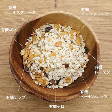 エルサンク・ジャポン 有機ミューズリーライト 200g グラノーラ オーガニック 朝食 ヘルシー 有機JAS