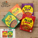 【最大3,000円OFFクーポン】第3世界ショップ カレーの壺 レトルトカレー チキンカレー辛口/ひよこ豆カレー辛さ控えめ 180g レトルト ココナッツミルク スリランカ スリランカカレー 第三世界ショップ