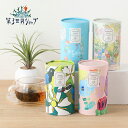 【4/25限定！抽選で最大100%ポイントバック】第3世界ショップ Artisan Tea 6包 | ティー 紅茶 アールグレイ ダージリン ブラックティー 烏龍茶 台湾烏龍茶 ギフト プレゼント 贈り物 お茶