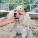 小型犬 お散歩 犬 服 お出かけ インスタ映え ペットウェア ワンピース フルーツ柄 ペット服 ドッグウェア 猫服 犬用 ペット用品 ネコ雑貨 前開き おなか部...