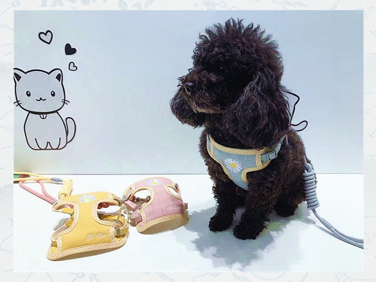 犬 ハーネス リード セット 小型犬 猫 胸当て 花柄 可愛い 通気性抜群 おしゃれ 散歩用 胴輪 調整可能 反射 安全設計 ペット用品 犬用ハーネス 猫用ハーネス 胸背ハーネス 柔らかいリード付 2点セット メール便送料無料【a023】 - Image 2