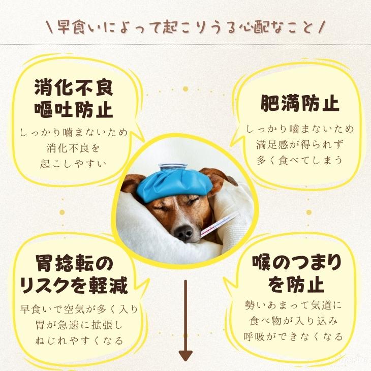 【あす楽対応】【平日12時までに注文翌日到着】犬 フードボウル ペット 早食い防止 ペットボウル スローフード 丸飲み 防止 食器 ペット用品 丸洗い可能 餌入れ 小型犬 中型犬 ペットフード ドッグフード 早食い ペットフードボウル ペットボール 【g023】送料無料