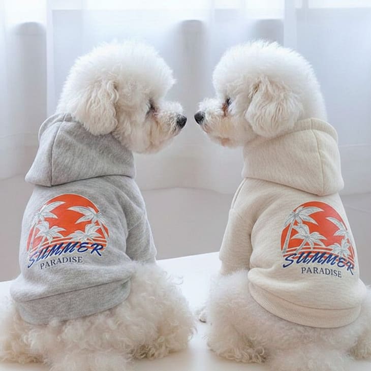 超可愛い! かわいい 犬服 サーフ フーディー 小型犬 ペットウェア お散歩 カットソー 男の子 女の子 おしゃれ シンプルコーデ ドッグウェア 抜け毛防止 ペット服 犬用 ペット用品 Tシャツ ペットウェア メール便OK 【a246】【送料無料】