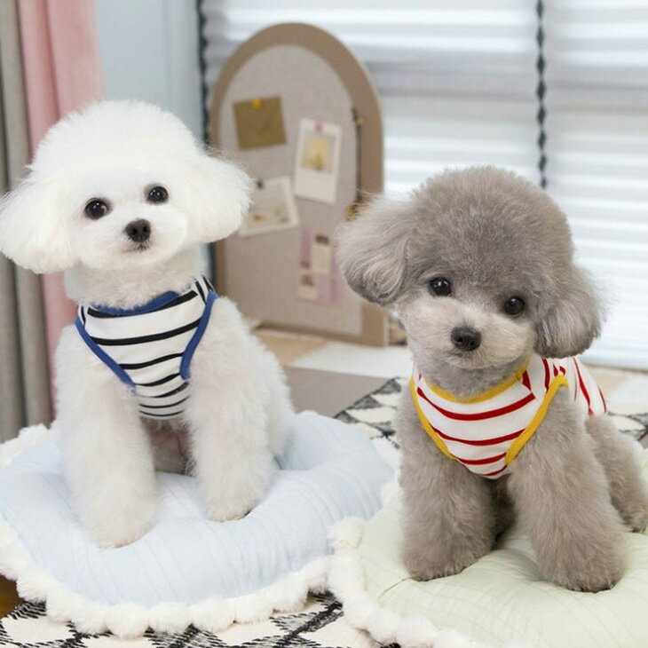 【1000円ポッキリ】春 夏 犬 服 猫 服 小型犬服ドッグウェア 2026新作 カットソー ...