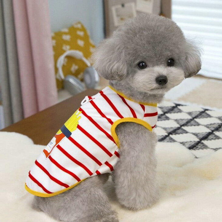 【1000円ポッキリ】春 夏 犬 服 猫 服 小型犬服ドッグウェア 2026新作 カットソー ...