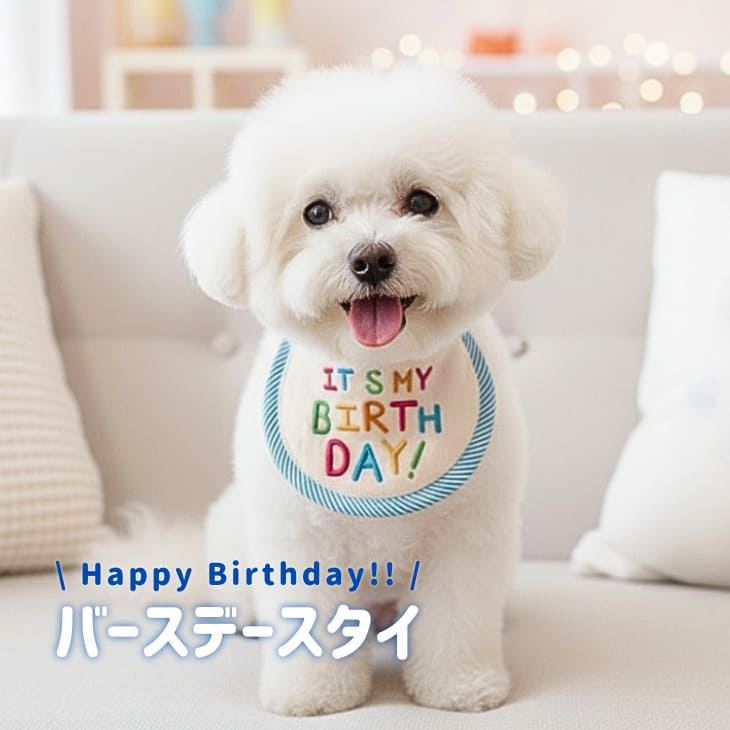 樂天商城 - 犬の服 ドッグウェア バースデースタイ 小型犬 犬猫兼用 刺繍 誕生日 犬用 犬 猫用 撮影用 ギフト 記念撮影 お祝い おめかし オールシーズン プレゼント 記念日 可愛い 人気アイテム 写真館 贈り物 おすすめ おしゃれ ギフト お出かけ用品 リピート確定 大人気【a482】