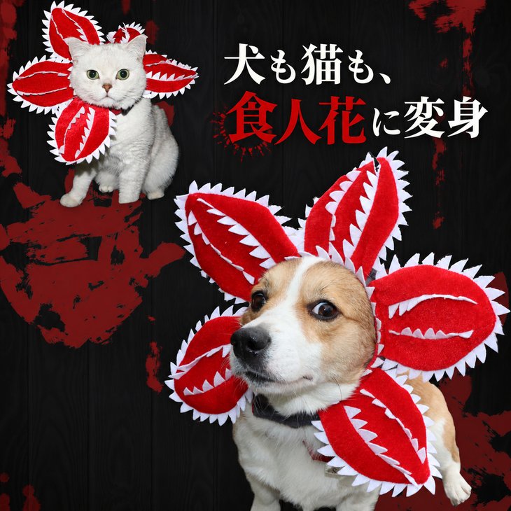 犬 猫 コスプレ 帽子 食人花 モンスターフラワー ペット用 ハロウィン 仮装 立体 面ファスナー 撮影 S M L【a566】