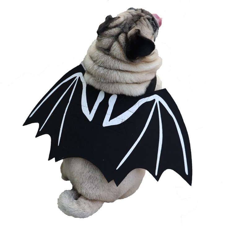 商品紹介背中に大きなコウモリの羽が付いた、とってもキュートなペット用ハロウィン変身コスチュームです。軽くて扱いやすいフェルト素材を使用しており、首元と胴回りの2箇所を面ファスナー（マジックテープ）で留めるだけで簡単に装着できます。お洋服が苦手な愛犬・愛猫にも負担が少なく、手軽に本格的な仮装が楽しめます。ハロウィンイベントやお散歩、SNS投稿用の撮影にぴったりのアイテムです。スペック【サイズ表】S：胸回り 41〜50cm / 首回り 13〜16cm M：胸回り 52〜62cm / 首回り 20〜26cm L：胸回り 55〜73cm / 首回り 24〜28cm ※ 手作業採寸のため±1〜3cmの誤差が生じる場合があります。 【仕様】素材：フェルト 固定方法：面ファスナー（首回り・胸回り）注意事項・海外製品につき、サイズや色味に若干の個体差がある場合がございます。・手作業による採寸のため、多少の誤差はご了承ください。・輸入時期や製造ロットにより、同じ柄でも色味やサイズに違いが生じる場合がございます。・モニターや撮影環境により、実際の商品の色と若干異なる場合がございます。・海外製品につき、日本製品より縫製が甘い、若干の汚れ等ある場合がございます。・ご注文後、在庫切れや入荷遅延が生じることがございますので、余裕をもってご注文ください。・使用時の破損や事故等につきましては責任を負いかねます。・輸入品の為、輸送の際に生じるキズ・汚れ・箱潰れがある場合がございますが新品です。・サイズ・重量は、多少の誤差が生じる場合がございます。・あくまで画像はイメージですので、商品改良の為パッケージや一部仕様が少し変更になる場合もございます。・お使いのブラウザや設定により、画像と実際の商品との若干の色の違いが生じる場合がございます。・海外製品につき、糸のほつれ・ゆがみ・縫製の甘さ等がございます。 ご理解の上、ご購入をお願いいたします。