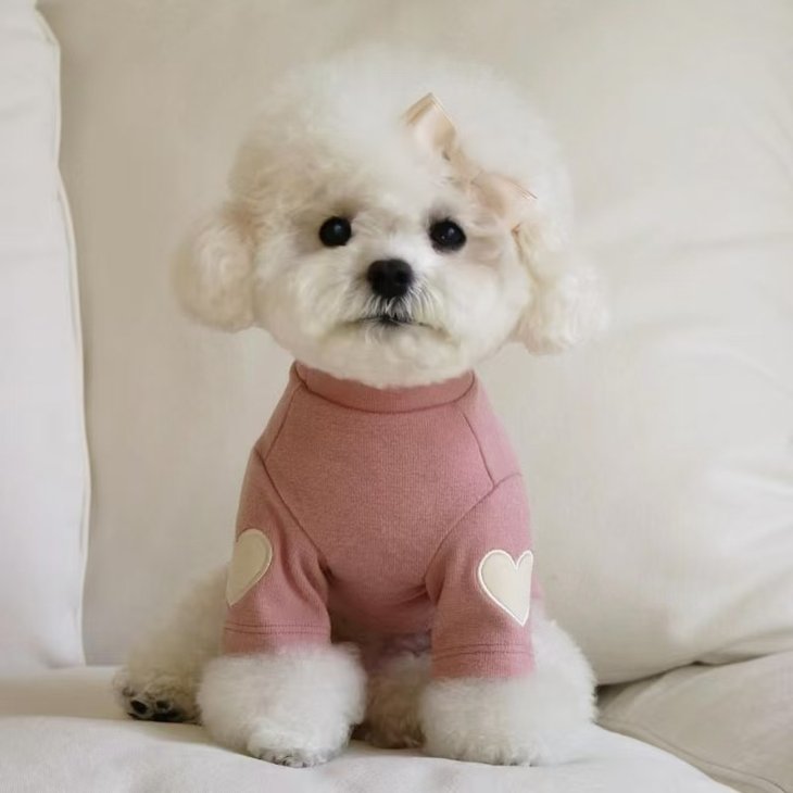 商品紹介ハートのワンポイントが愛らしい、長袖タイプの犬用ウェア。落ち着いた色合いで、毎日のコーディネートに取り入れやすいデザインです。スペック【カラー】グレー系 / ベージュ系 / ピンク系 / ブルー系【サイズ】・XSサイズ：背丈20cm / 胸回り28cm・Sサイズ：背丈25cm / 胸回り34cm・Mサイズ：背丈30cm / 胸回り38cm・Lサイズ：背丈35cm / 胸回り44cm・XLサイズ：背丈40cm / 胸回り48cm※海外生産・手作業採寸のため、±1～3cmの誤差が生じる場合があります。注意事項【注意事項】・海外製品につき、サイズや色味に若干の個体差がある場合がございます。・手作業による採寸のため、多少の誤差はご了承ください。・輸入時期や製造ロットにより、同じ柄でも色味やサイズに違いが生じる場合がございます。・モニターや撮影環境により、実際の商品との色味が異なる場合がございます。・海外製品につき、日本製品より縫製が甘い、若干の汚れ等ある場合がございます。・ご注文後、在庫切れや入荷遅延が生じることがございますので、余裕をもってご注文ください。・使用時の破損や事故等につきましては責任を負いかねます。・輸入品の為、輸送の際に生じるキズ・汚れ・箱潰れがある場合がございますが新品です。・サイズ・重量は、多少の誤差が生じる場合がございます。・あくまで画像はイメージですので、商品改良の為パッケージや一部仕様が少し変更になる場合もございます。・お使いのブラウザや設定により、画像と実際の商品との若干の色の違いが生じる場合がございます。・海外製品につき、糸のほつれ・ゆがみ・縫製の甘さ等がございます。ご理解の上、ご購入をお願いいたします。
