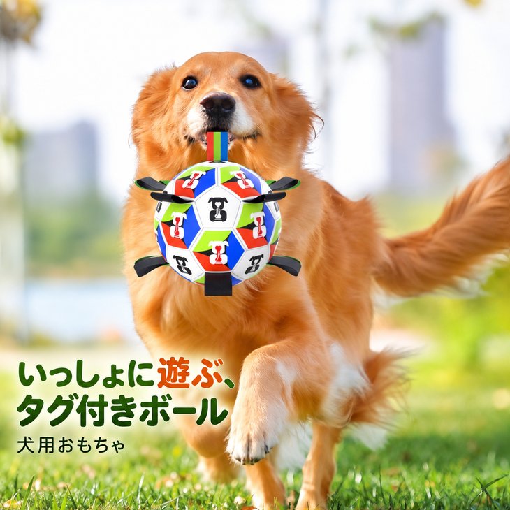 商品紹介ボールの周りにたくさんのナイロンタグが付いた、遊べる工夫が満載の犬用サッカーボールトイです。ボール本体には耐久性に優れたPU素材、内部には変形しにくく弾力性に優れる糸巻き構造のゴム製内袋を採用。ボール全体にぐるりと配置されたタグはワンちゃんがくわえやすく、引っ張り合いっこや持ってこい遊びに最適です。飼い主様が持ちやすいカラフルなロングループタグも装備。お庭や公園などの屋外遊びから室内遊びまで、愛犬の運動不足解消やストレス発散にぴったりのボールです。スペック【サイズ】・2号：直径 15cm（小型犬・中型犬向け）・3号：直径 18cm（中型犬・大型犬向け） 【素材】外側：PU素材 / 内袋：糸巻きゴム製内袋 【仕様】・くわえやすい周囲ブラックナイロンタグ付き・持ち手に便利なマルチカラーループタグ付き・空気を抜いてコンパクトに持ち運び・収納可能 【備考】・空気入れは付属しておりません。市販のボール用空気入れをご用意ください。 注意事項・海外製品につき、サイズや色味に若干の個体差がある場合がございます。・手作業による採寸のため、多少の誤差はご了承ください。・輸入時期や製造ロットにより、同じ柄でも色味やサイズに違いが生じる場合がございます。・モニターや撮影環境により、実際の商品の色と若干異なる場合がございます。・海外製品につき、日本製品より縫製が甘い、若干の汚れ等ある場合がございます。・ご注文後、在庫切れや入荷遅延が生じることがございますので、余裕をもってご注文ください。・使用時の破損や事故等につきましては責任を負いかねます。・輸入品の為、輸送の際に生じるキズ・汚れ・箱潰れがある場合がございますが新品です。・サイズ・重量は、多少の誤差が生じる場合がございます。・あくまで画像はイメージですので、商品改良の為パッケージや一部仕様が少し変更になる場合もございます。・お使いのブラウザや設定により、画像と実際の商品との若干の色の違いが生じる場合がございます。・海外製品につき、糸のほつれ・ゆがみ・縫製の甘さ等がございます。 ご理解の上、ご購入をお願いいたします。