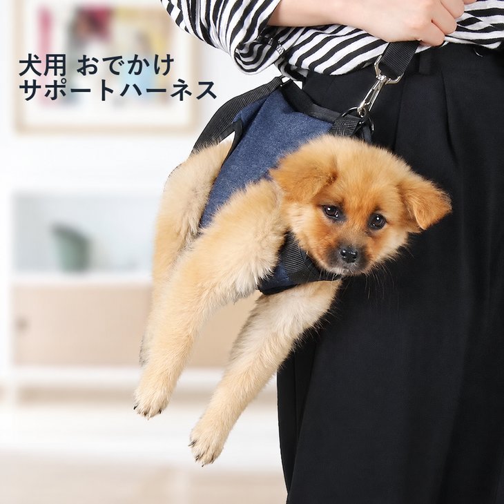 商品紹介お出かけ先で愛犬を抱き上げるときに使える、肩ひも付きの犬用サポートハーネスです。ネイビーの落ち着いたデザインで、胴を包む本体と肩掛けストラップを組み合わせた形。愛犬との外出に備えて、サイズを確認しておきたいアイテムです。スペック【サイズ・スペック】・Sサイズ：胸回り35～38cm / 背丈20cm / 前後脚間13cm / 参考体重1.5～4kg・Mサイズ：胸回り40～46cm / 背丈21cm / 前後脚間13.5cm / 参考体重4～6.5kg・Lサイズ：胸回り50～56cm / 背丈24cm / 前後脚間14.5cm / 参考体重6.5～10kg【カラー】ネイビー注意事項・海外製品につき、サイズや色味に若干の個体差がある場合がございます。・手作業採寸のため、サイズに±1～3cm程度の誤差が生じる場合がございます。・ご購入前に愛犬のサイズを測り、サイズ表と照らし合わせてお選びください。・ご使用中は愛犬から目を離さず、体格に合った状態でご使用ください。・モニターや撮影環境により、実際の商品と色味が異なって見える場合がございます。