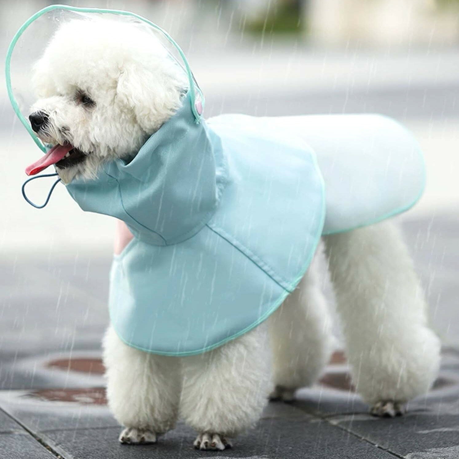 �ڥå��ѥ쥤�󥳡��� �ɿ�ա����դ� �������ǲİ��� ���̤�ư���䤹�� �������Τ�����˺�Ŭ ���������淿�����б� ���褱��ǽ�դ� ���������ñ ����