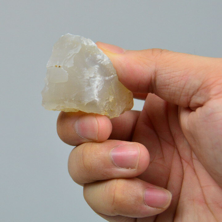 Bush Craft [ �����Сʥ�Υ��С� @648] �֥å��奯��ե� ʲ�� �����ȥɥ� ������