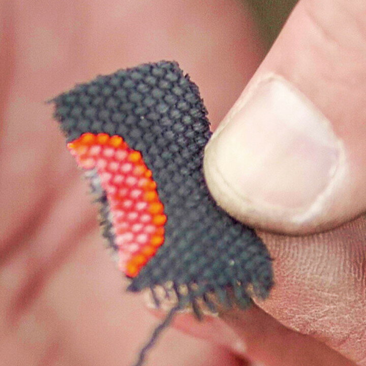 Bush Craft [ ������ ��Ŵ�ۡʥѥ��饤�ȡ� @720] �֥å��奯��ե� ʲ�� �����ȥɥ� ������