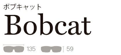 SMITH SUNGLASS SPARE 交換レンズ [ Bobcat Lens クリア @10000] Clear Sunglass スミス サングラス 【正規代理店商品】