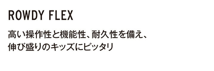 HEAD SNOWBOARDS [ ROWDY FLEX @44000 ] ヘッド ジュニア スノーボード【正規代理店商品】【送料無料】 2