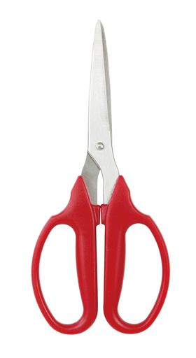 ƥ쥹ڶ  190MM ѤϤ ڤ ߺ ƻ  Ф ϥ 