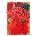 PATIKILナチュラルドライフラワー複数のカラフル本物のドライ押し花植物クラフト樹脂ソープキャンドルスクラップブッキング用レッドシリーズ