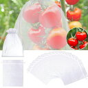防虫ネット果物保護バッグ果実袋20*15cm(10枚)20*30cm(10枚)合わせて20枚セット果実防虫袋メッシュバッグ保護ネット収穫ネットネット袋害虫鳥よけ...
