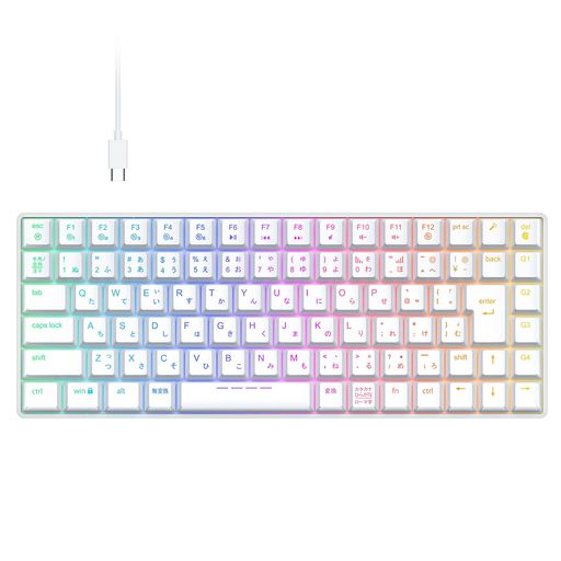 iClever ゲーミングキーボード テンキーレス 赤軸 メカニカル キーボード 日本語配列 88キー 75%サイズ RGB 23種類 バックライト カスタマイズ 静音 有線 着脱式ケーブル ゲーム/オフィス用 パ…