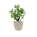 365BloomingDecor31CM人工多肉植物フェイクグリーン観葉植物人工観葉植物造花インテリア高級鉢植え翡翠の木お世話不要プレゼント