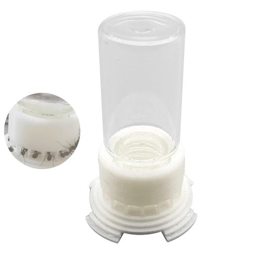 PAVIKEアリの給水器アリ水入れ蟻水入れアリ水やりアリ給水カッププラスチック5mlアリの巣アリを飼うアリ農場アクセサリー小型餌皿給水..