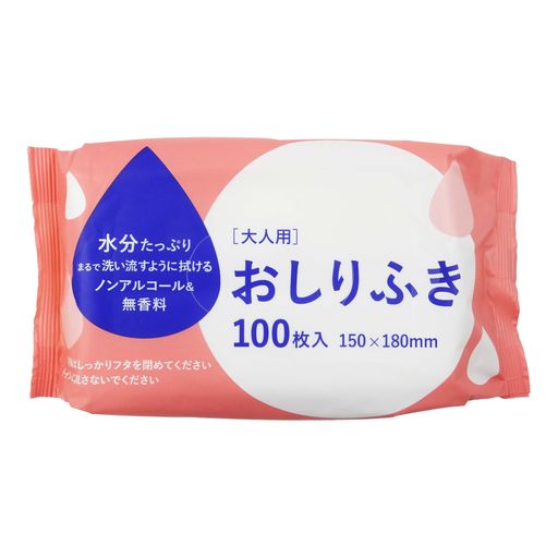 大和物産 大人用 おしりふき 100枚 水分たっぷり 洗い流すように拭ける ノンアルコール 無香料 使い捨て 防災 介護 15x18cm