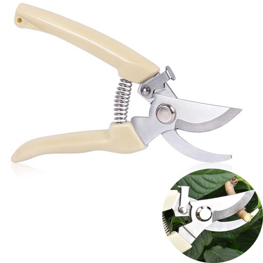 DoyimeФڤХ߻ڤХڤݥϥ߳Ĵǽ̰䤹̼ߺȥǥ˥󥰴տʪ