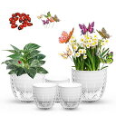 16CM11CM給水プランター植木鉢プラスチック5個セット観葉植物鉢おしゃれ底面給水鉢給水紐付き室外室内鉢植えハーブ花栽培(16cmx2+11cmx3)